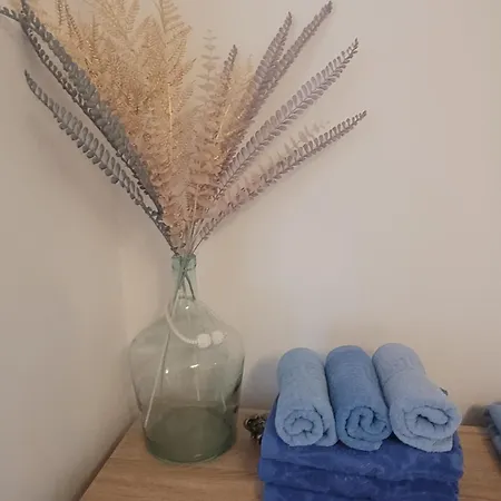 Apartment Trei Constanta